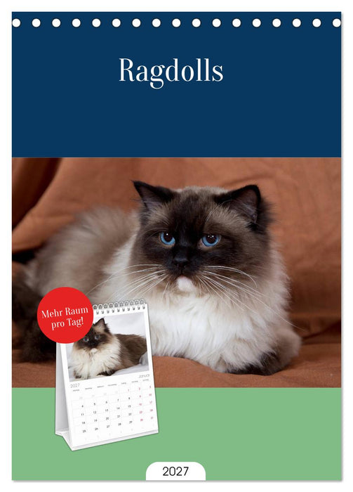 Ragdolls (CALVENDO Tischplaner A5H 2027)