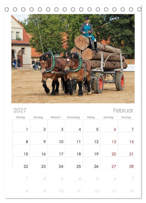 Schwere Pferde (CALVENDO Tischplaner A5H 2027)