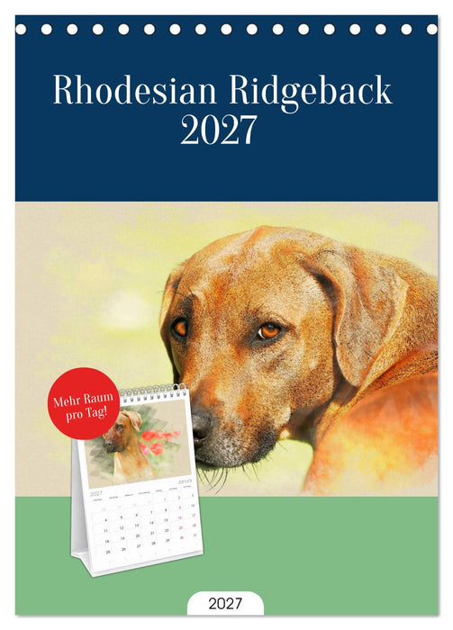 Rhodesian Ridgeback 2027 (CALVENDO Tischplaner A5H 2027)