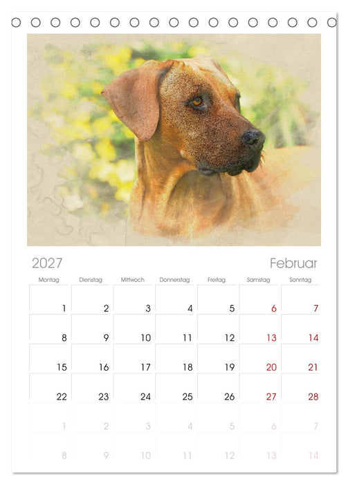 Rhodesian Ridgeback 2027 (CALVENDO Tischplaner A5H 2027)