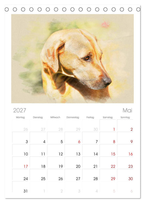 Rhodesian Ridgeback 2027 (CALVENDO Tischplaner A5H 2027)