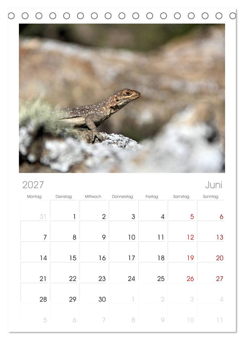 Tiere Madagaskars (CALVENDO Tischplaner A5H 2027)