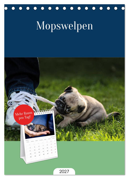 Mopswelpen (CALVENDO Tischplaner A5H 2027)