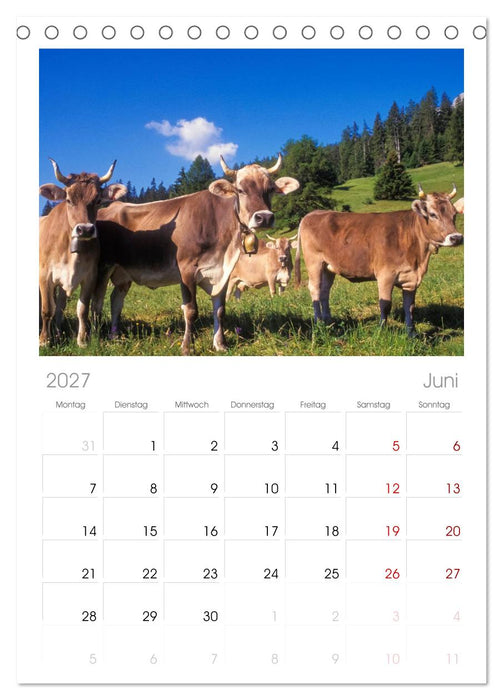 Graubünden Engadin (CALVENDO Tischplaner A5H 2027)