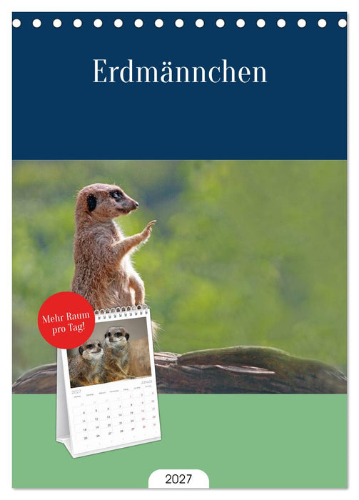 Erdmännchen (CALVENDO Tischplaner A5H 2027)