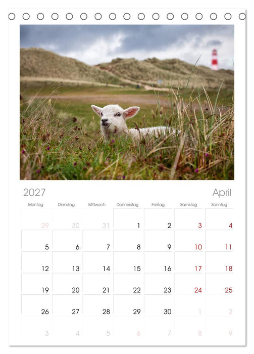 SYLT hinter den Dünen (CALVENDO Tischplaner A5H 2027)