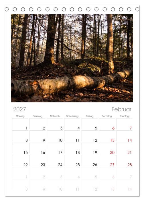 Wald (CALVENDO Tischplaner A5H 2027)