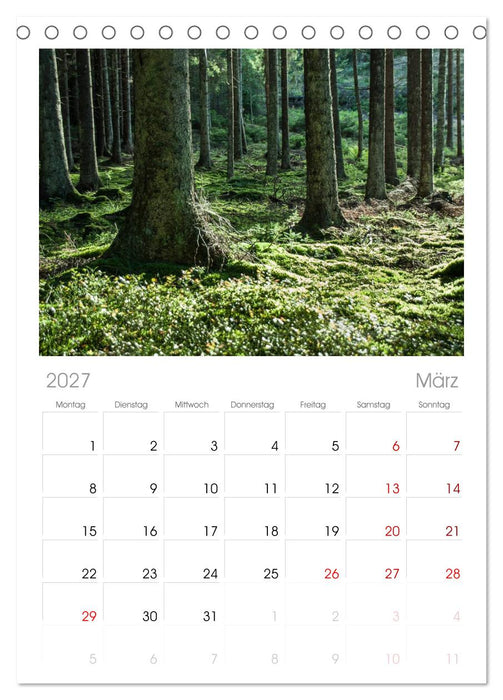 Wald (CALVENDO Tischplaner A5H 2027)