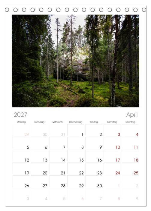 Wald (CALVENDO Tischplaner A5H 2027)