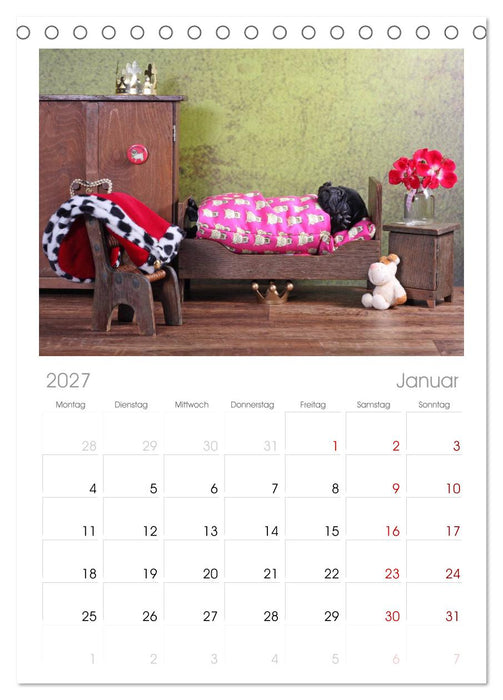 Der MOPS-Kalender (CALVENDO Tischplaner A5H 2027)