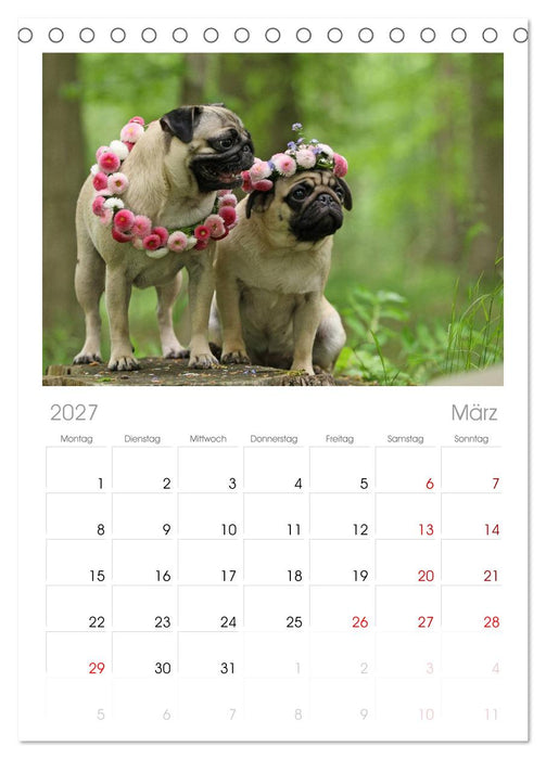 Der MOPS-Kalender (CALVENDO Tischplaner A5H 2027)