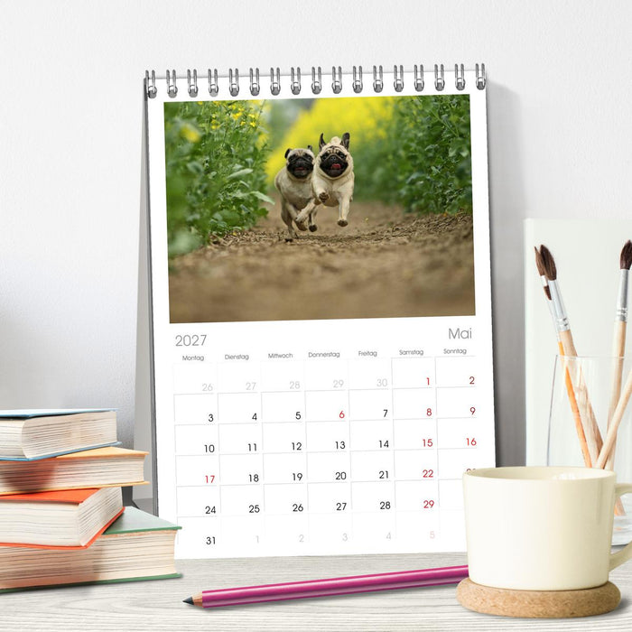Der MOPS-Kalender (CALVENDO Tischplaner A5H 2027)
