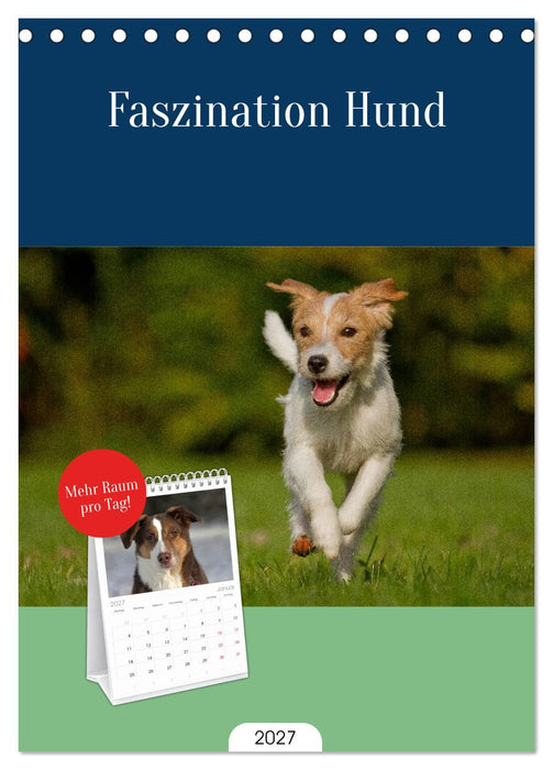 Faszination Hund (CALVENDO Tischplaner A5H 2027)
