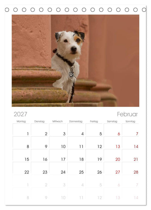Faszination Hund (CALVENDO Tischplaner A5H 2027)