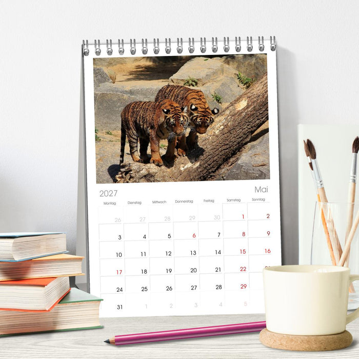Tiger (CALVENDO Tischplaner A5H 2027)