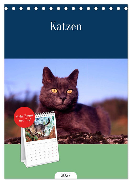 Katzen (CALVENDO Tischplaner A5H 2027)