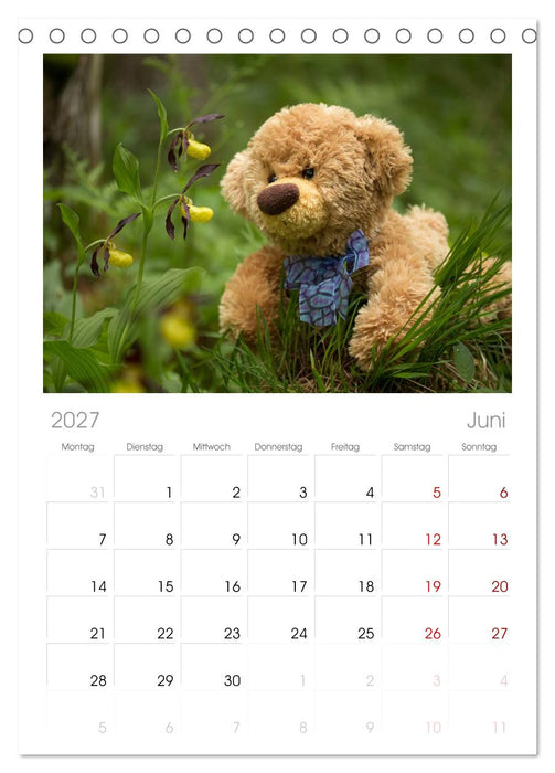 Travelling Teddy (CALVENDO Tischplaner A5H 2027)