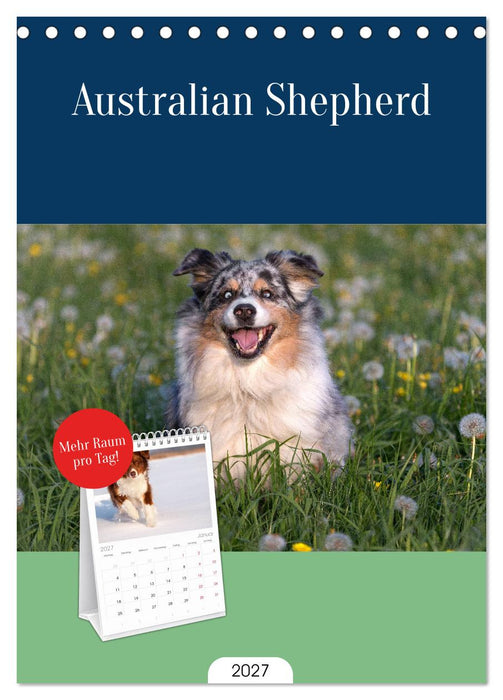 Australian Shepherd (CALVENDO Tischplaner A5H 2027)