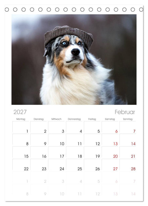 Australian Shepherd (CALVENDO Tischplaner A5H 2027)