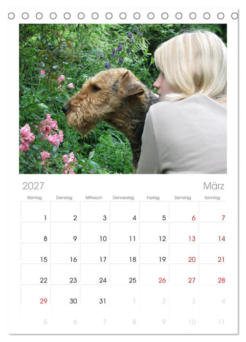 Airedale Terrier (CALVENDO Tischplaner A5H 2027)