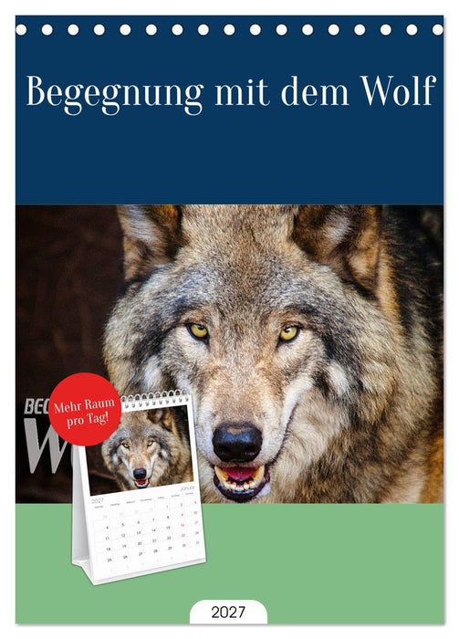 Begegnung mit dem Wolf (CALVENDO Tischplaner A5H 2027)