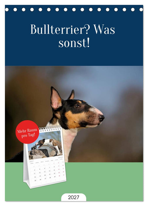 Bullterrier? Was sonst! (CALVENDO Tischplaner A5H 2027)