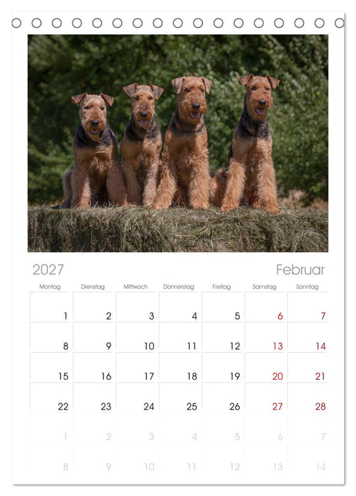 Airedale-Terrier, was sonst! (CALVENDO Tischplaner A5H 2027)