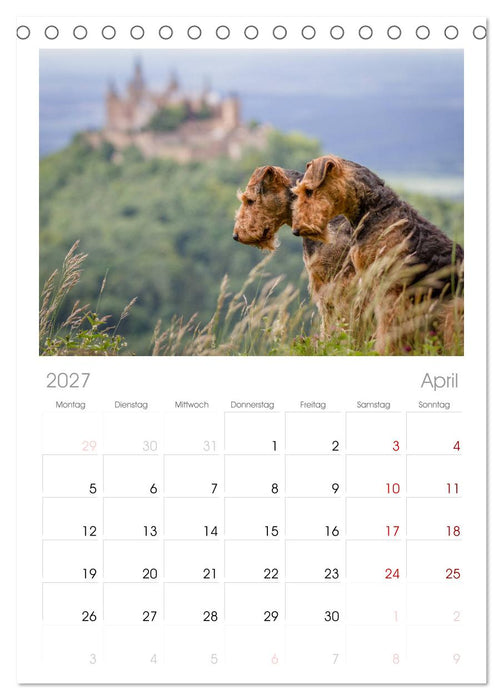 Airedale-Terrier, was sonst! (CALVENDO Tischplaner A5H 2027)