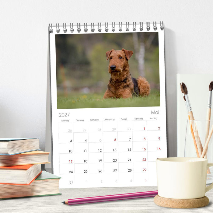 Airedale-Terrier, was sonst! (CALVENDO Tischplaner A5H 2027)