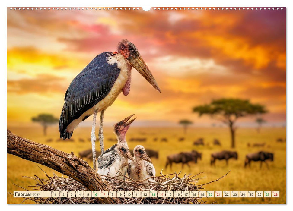 Imposante Marabus (CALVENDO Premium Wandkalender 2027)