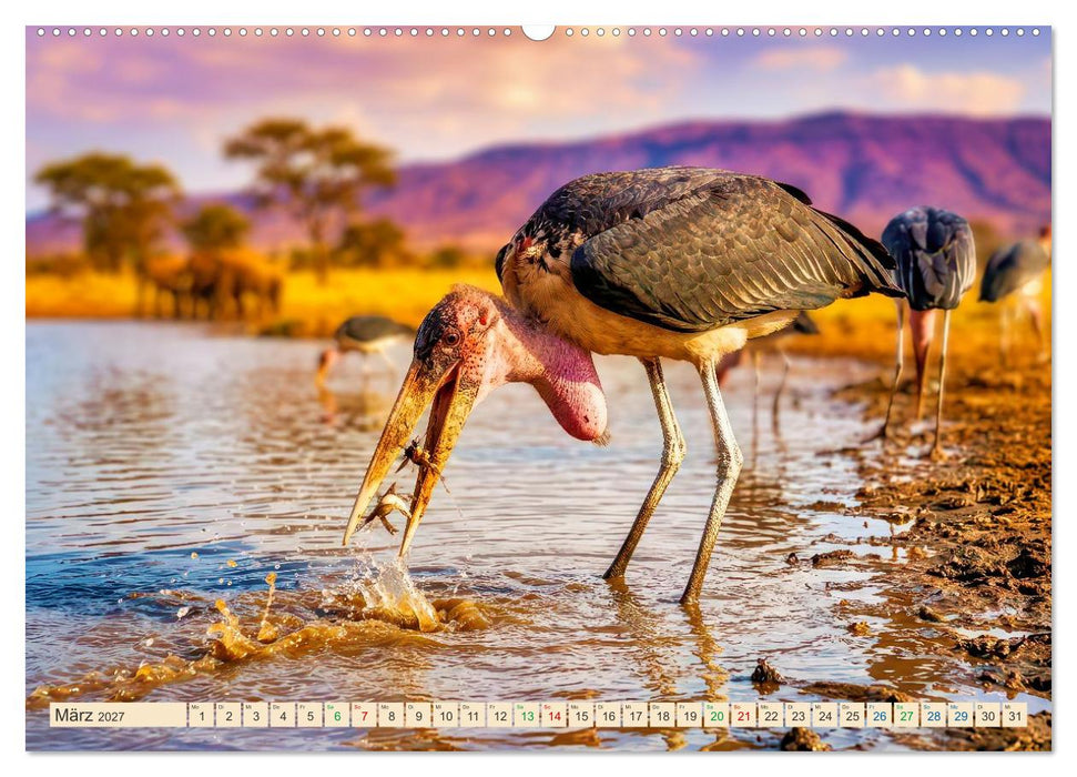 Imposante Marabus (CALVENDO Premium Wandkalender 2027)