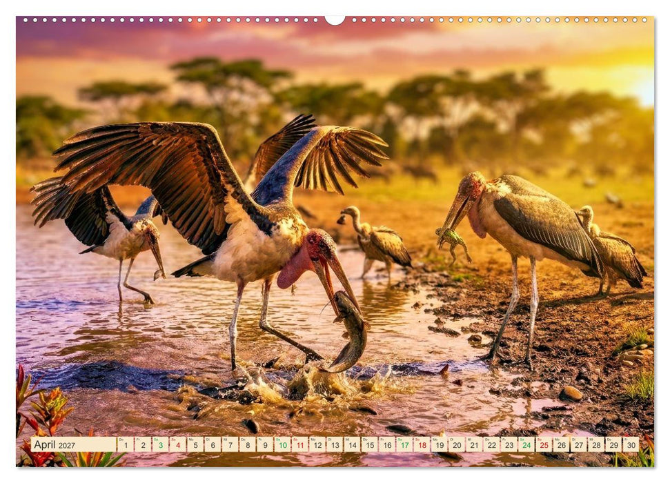 Imposante Marabus (CALVENDO Premium Wandkalender 2027)