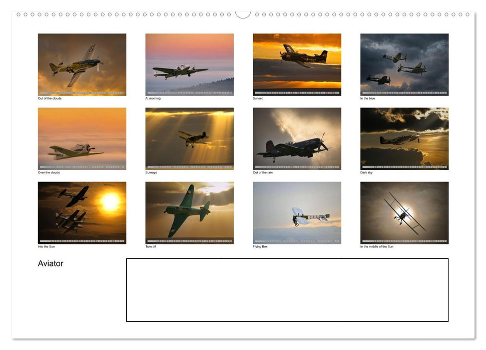 Aviator (CALVENDO Wandkalender 2027)