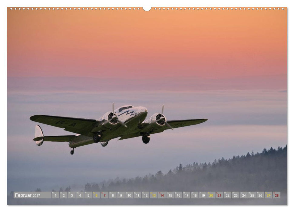 Aviator (CALVENDO Wandkalender 2027)