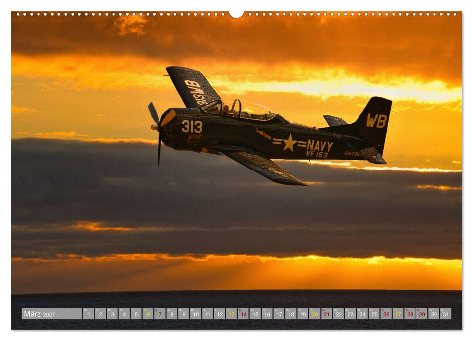 Aviator (CALVENDO Wandkalender 2027)