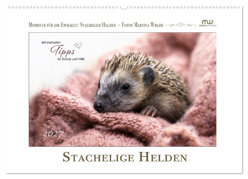 Stachelige Helden (CALVENDO Wandkalender 2027)