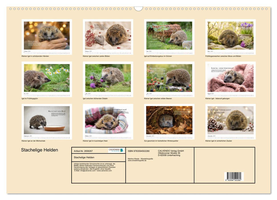 Stachelige Helden (CALVENDO Wandkalender 2027)