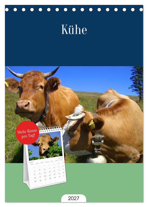 Kühe (CALVENDO Tischplaner A5H 2027)