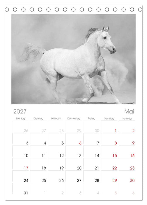 Arabische Pferde (CALVENDO Tischplaner A5H 2027)