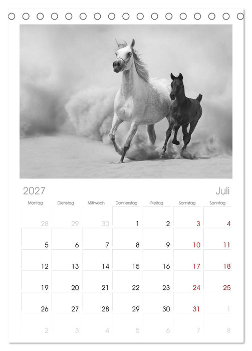 Arabische Pferde (CALVENDO Tischplaner A5H 2027)