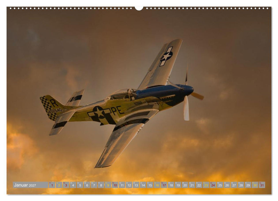 Aviator (CALVENDO Premium Wandkalender 2027)
