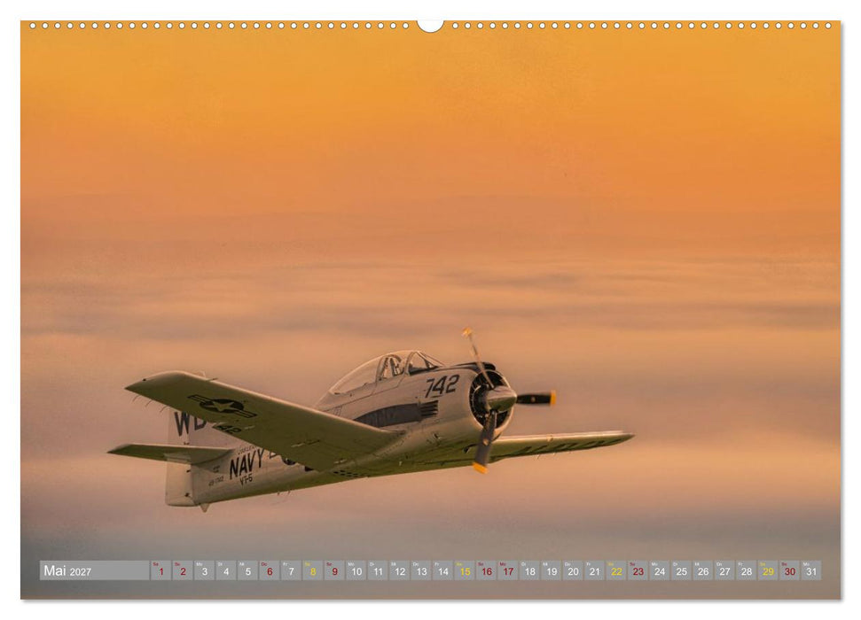 Aviator (CALVENDO Premium Wandkalender 2027)
