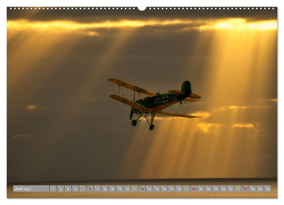 Aviator (CALVENDO Premium Wandkalender 2027)