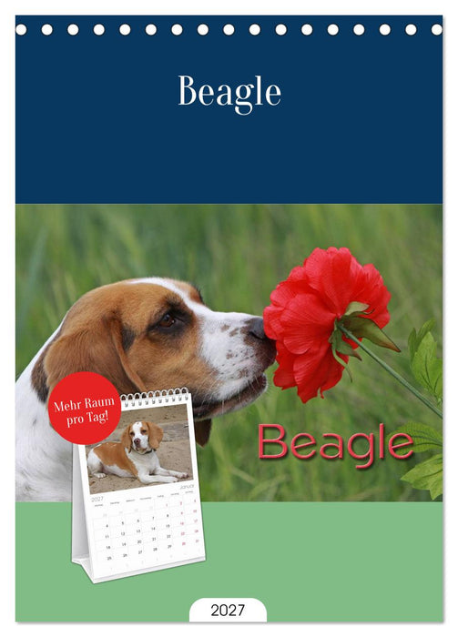 Beagle (CALVENDO Tischplaner A5H 2027)