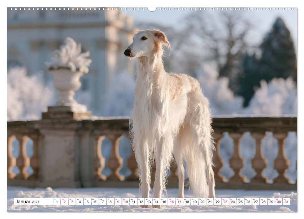 Edle Hunde (CALVENDO Premium Wandkalender 2027)