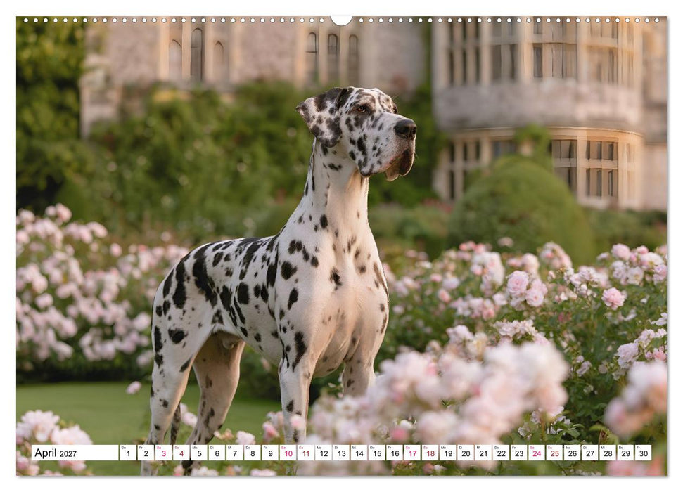 Edle Hunde (CALVENDO Premium Wandkalender 2027)