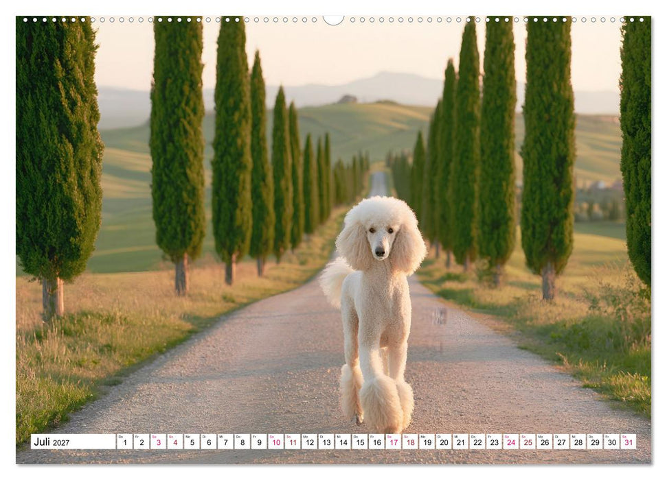 Edle Hunde (CALVENDO Premium Wandkalender 2027)