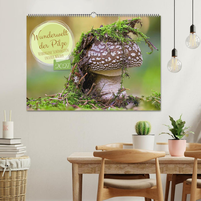 Wunderwelt der Pilze (CALVENDO Wandkalender 2027)