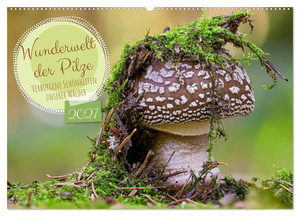 Wunderwelt der Pilze (CALVENDO Wandkalender 2027)