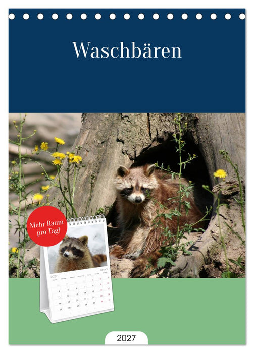Waschbären (CALVENDO Tischplaner A5H 2027)